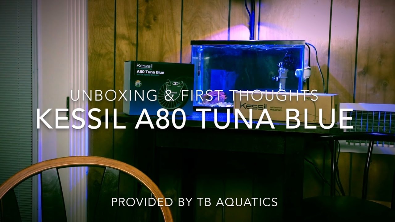 Kessil A80 Tuna Blue LED Light | Unboxing & First Thoughts