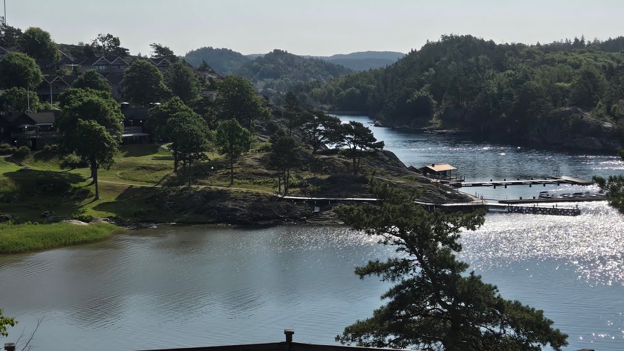 Morgon vlog och l&ouml;par vlog