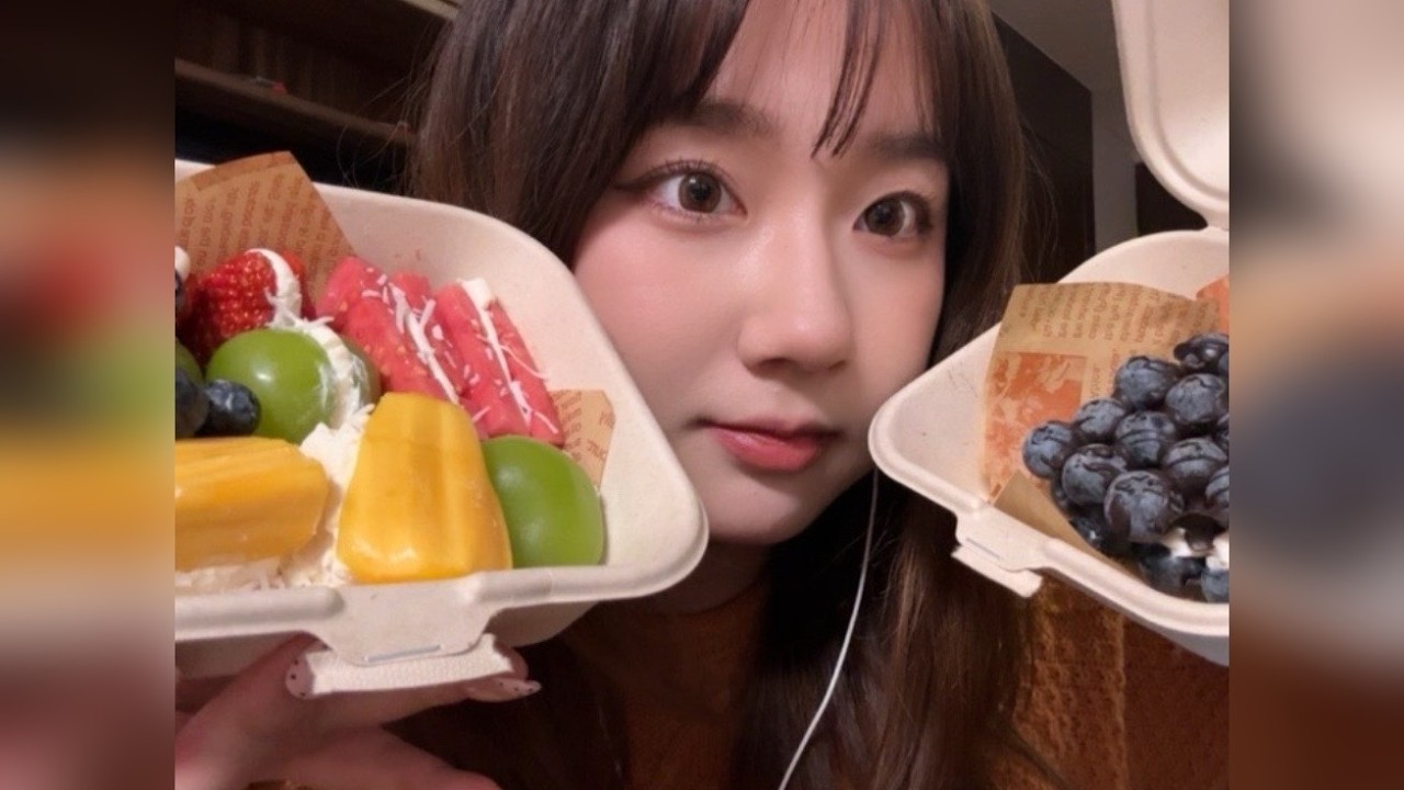 冷萃酸奶水果夹 蓝莓酸奶砖 食音