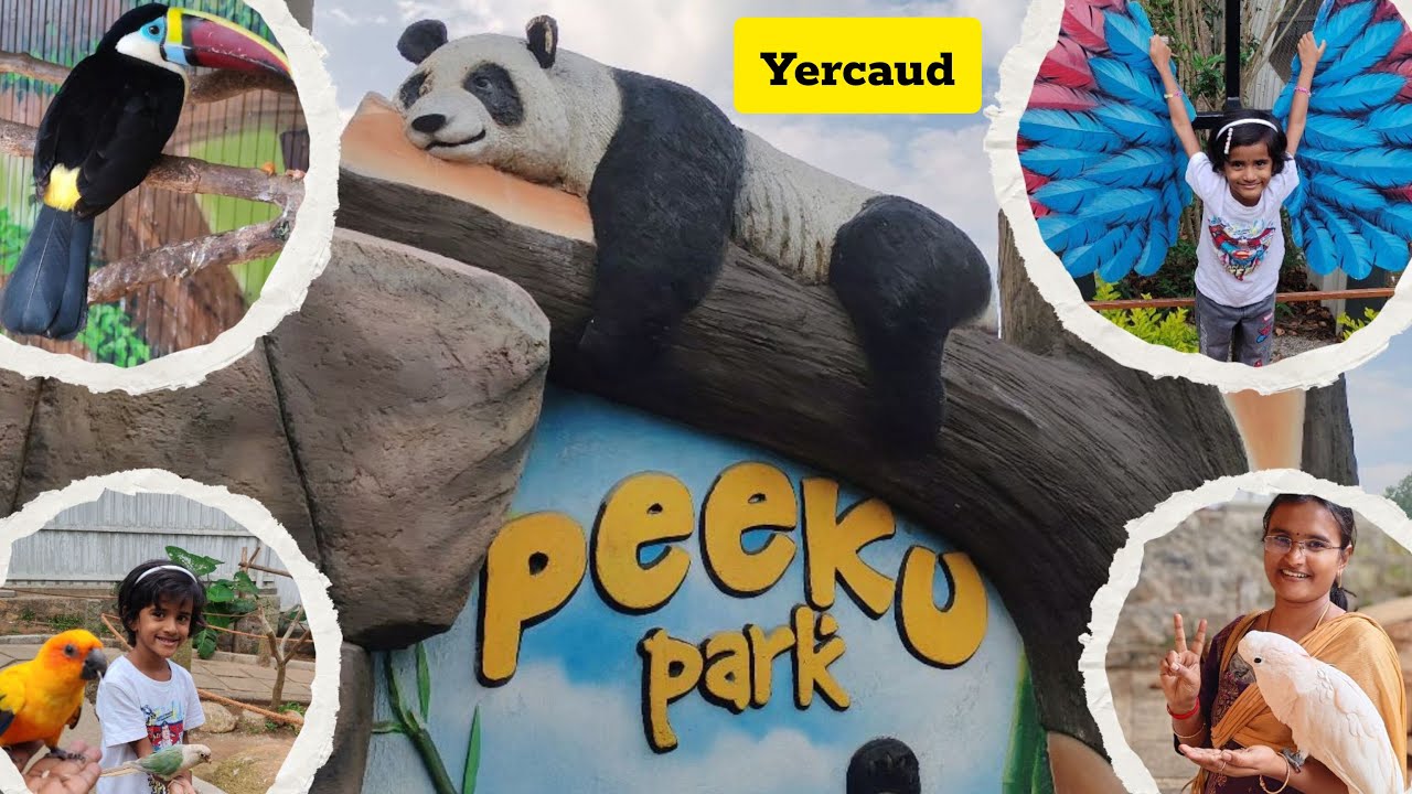 🐟🐪 Yercaud Peeku Park | Birds Paradise 🐓🦜 | Family Trip 😊