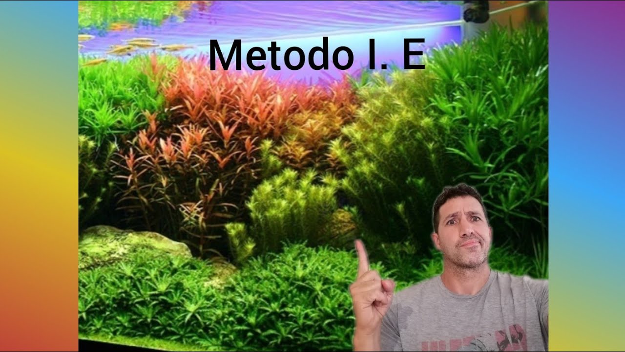Metodo de abonado de indice estimado.Por Tom barr