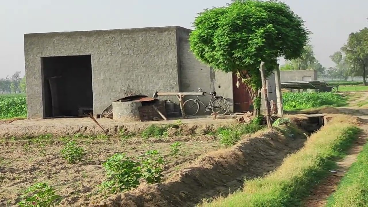 Agriculture Land in Haryana