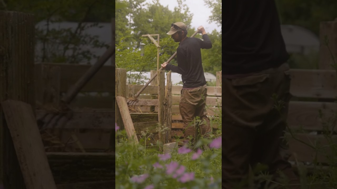 Return to Odhran Crowe's Food Forest | TRAILER