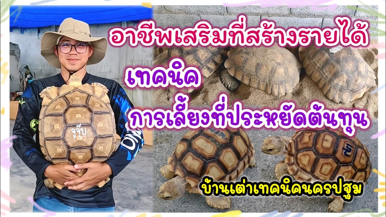จากความชอบ สู่อาชีพเสริม 