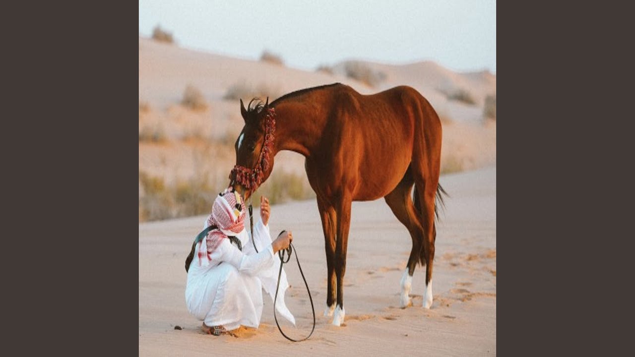 عامين والحال من فرقاك منلافه