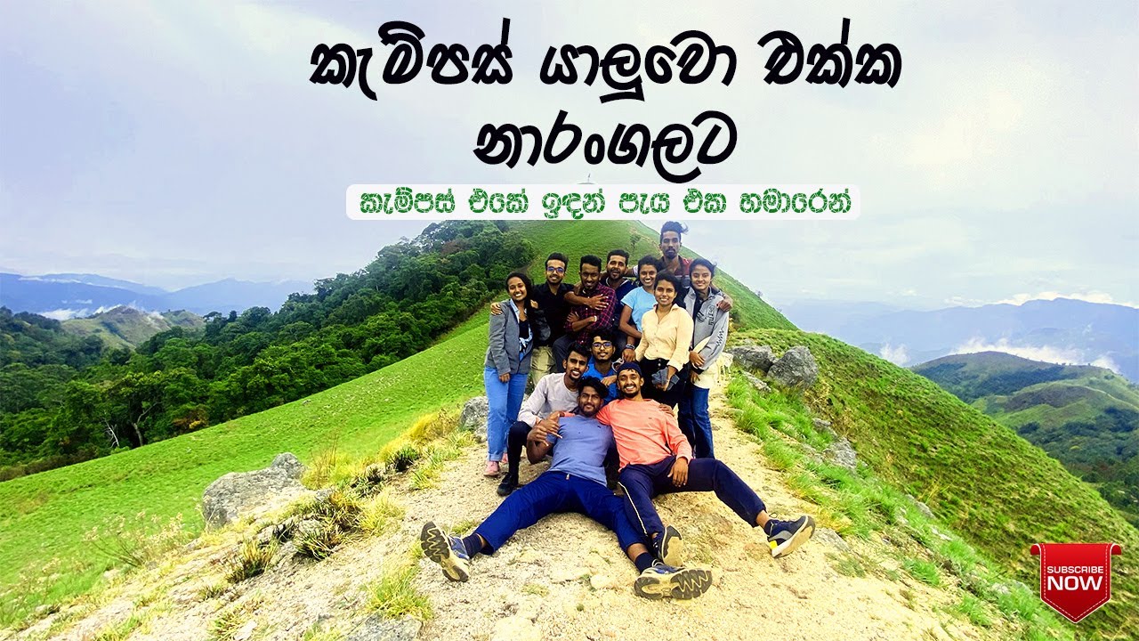 Narangala Mountain Hike with Uni Friends | Vlog | University life | Uva Wellassa University