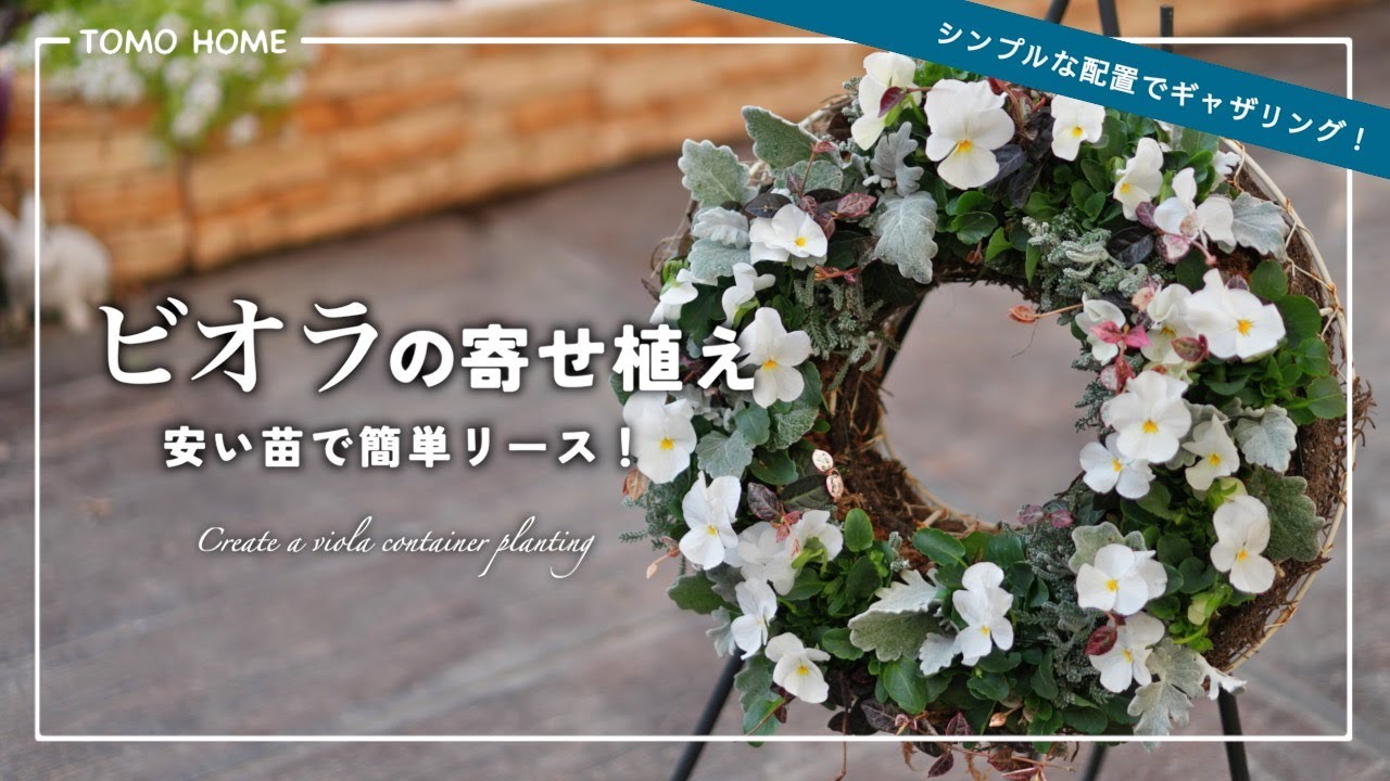 【簡単＆かわいい】90円ビオラでリースのギャザリング・作り方と管理方法【寄せ植え】