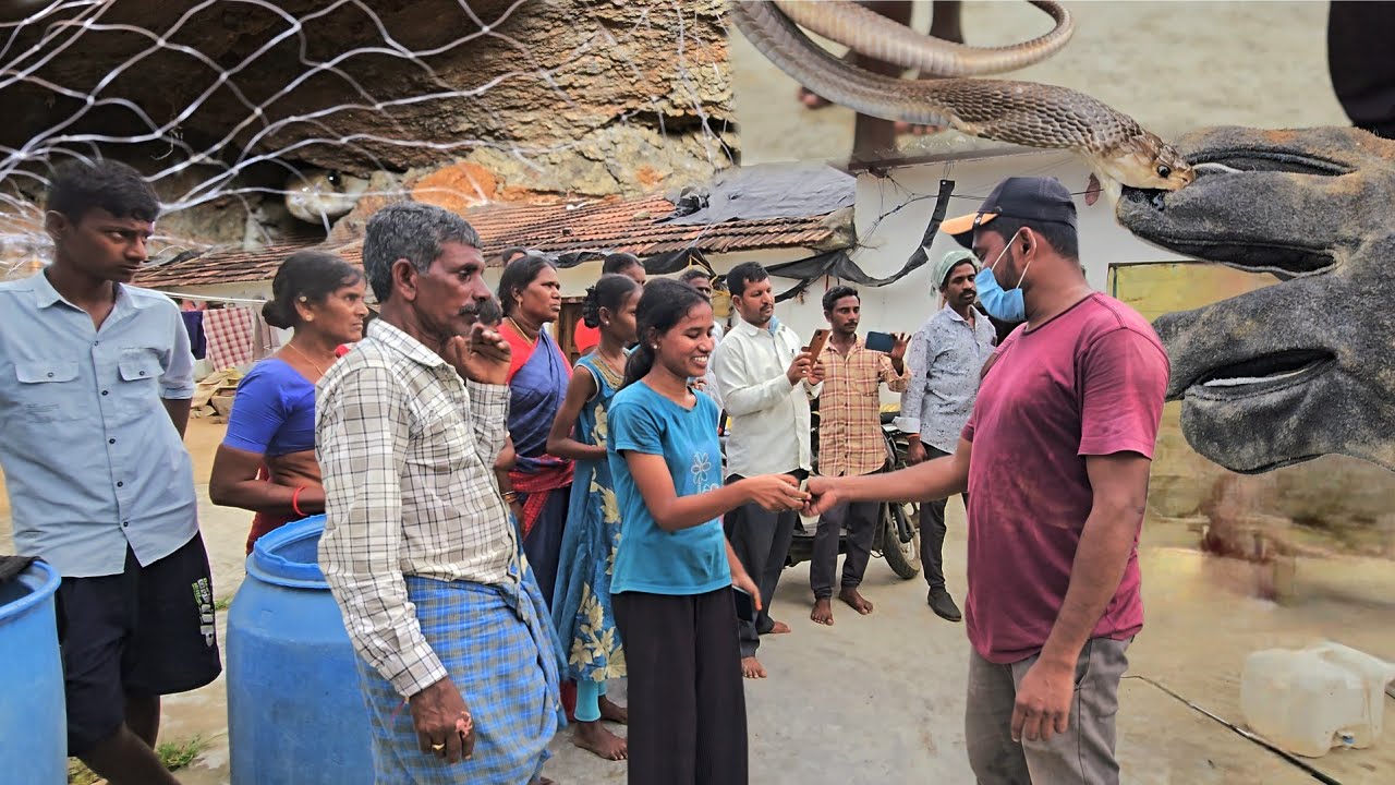 #Indian #sprectacled cobra snake Rescue || కంఠం గ్రామంలో రెస్క్యూ contact 7396969617