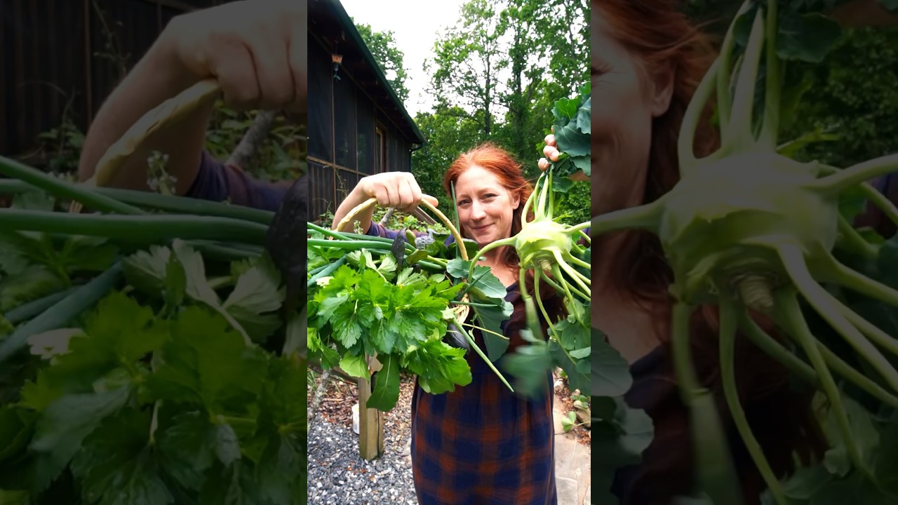 Simple, sustainable, gardening systems for small spaces. Tower Garden.