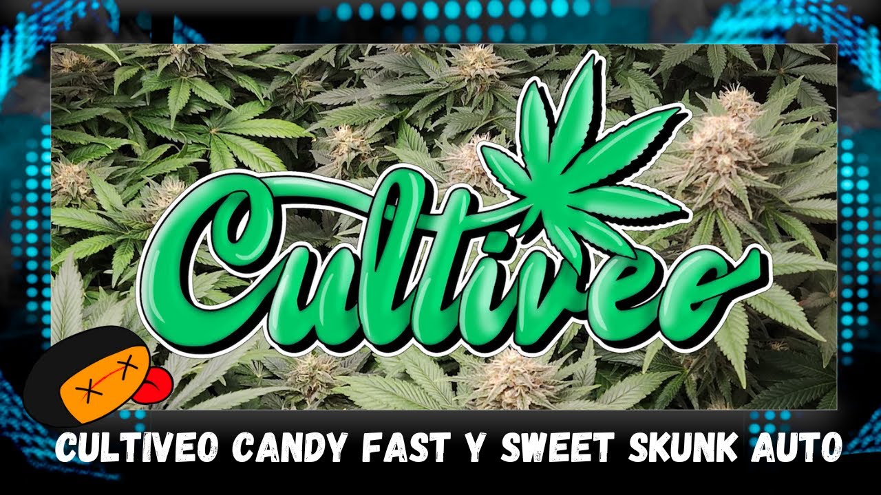 CULTIVEO FLORA Y SECADO AUTO CULTIVO