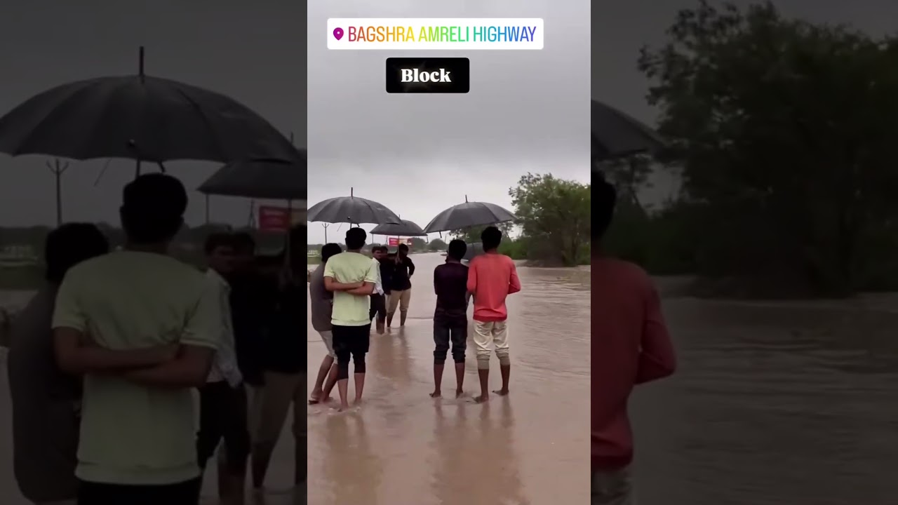 અમરેલી જિલ્લામાં ભારે વરસાદ 🌧️ | Amreli Rain Update Today #shorts #newsupdate