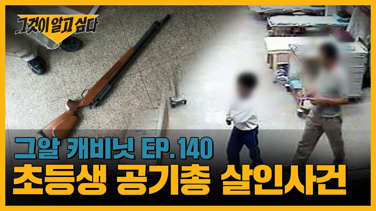 악마의 속삭임, 초등생 공기총 살인사건  | 그알 캐비닛