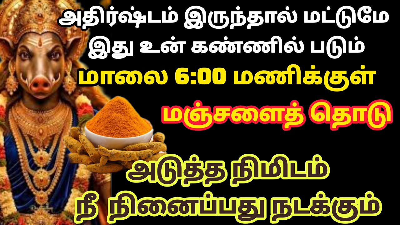 நான் இருக்கேன் உனக்கு | Amman | varaahi Amman | positive vibes | @akshyasaividiyal