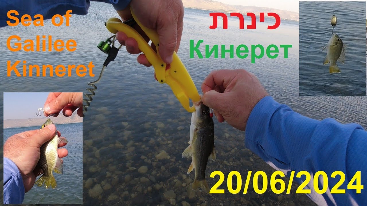 4K 20/06/2024 Кинерет Sea of Galilee Kinneret כינרת рыбалка fishing דיג חוף ברניקי пляж Берники