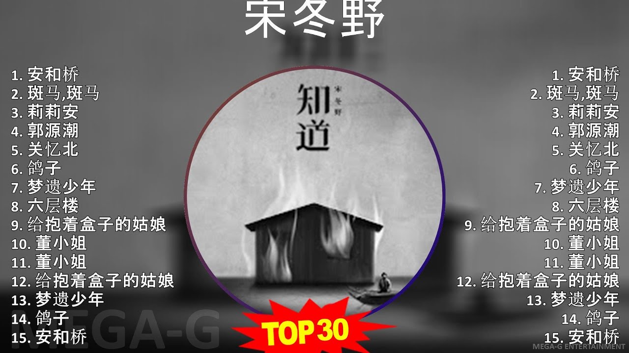 宋冬野 2024 MIX Playlist - 安和桥, 斑马,斑马, 莉莉安, 郭源潮