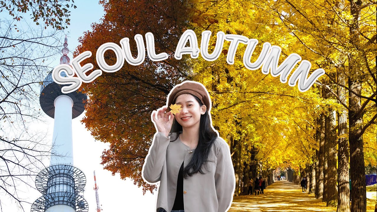 🍁 Seoul Autumn Colors – Seoul Rực Rỡ Sắc Thu 🍂 Travel Vlog