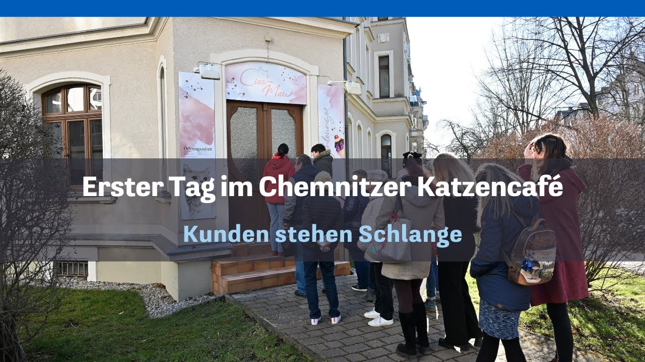 Erster Tag im Chemnitzer Katzencaf&eacute;: G&auml;ste stehen Schlange
