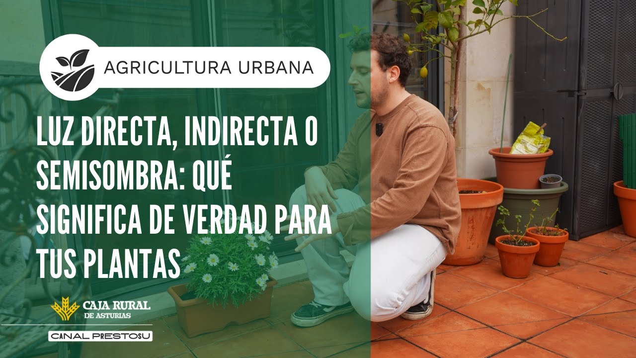Canal Prestosu | Agricultura urbana: ¿luz directa, indirecta o semisombra?