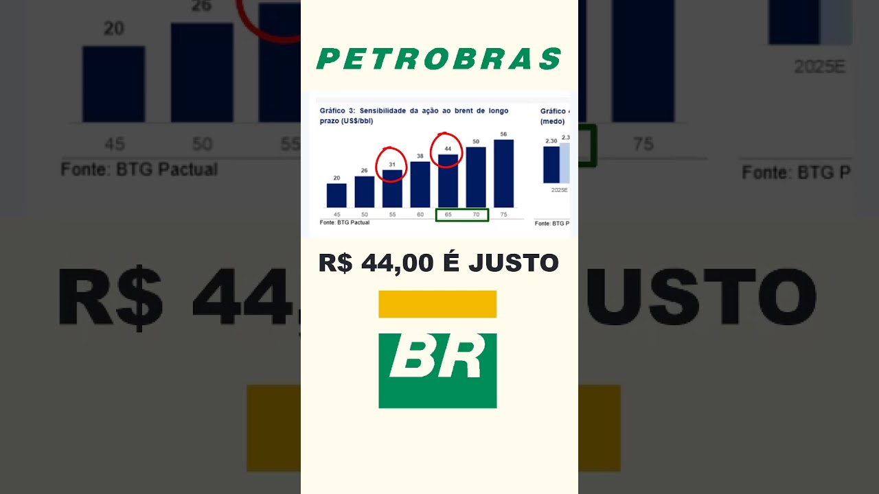 PETR4 HOJE CUSTA R$ 32,00 (MAS VALE R$ 44,00) Por que as a&ccedil;&otilde;es da PETROBRAS est&atilde;o baratas? #petr4