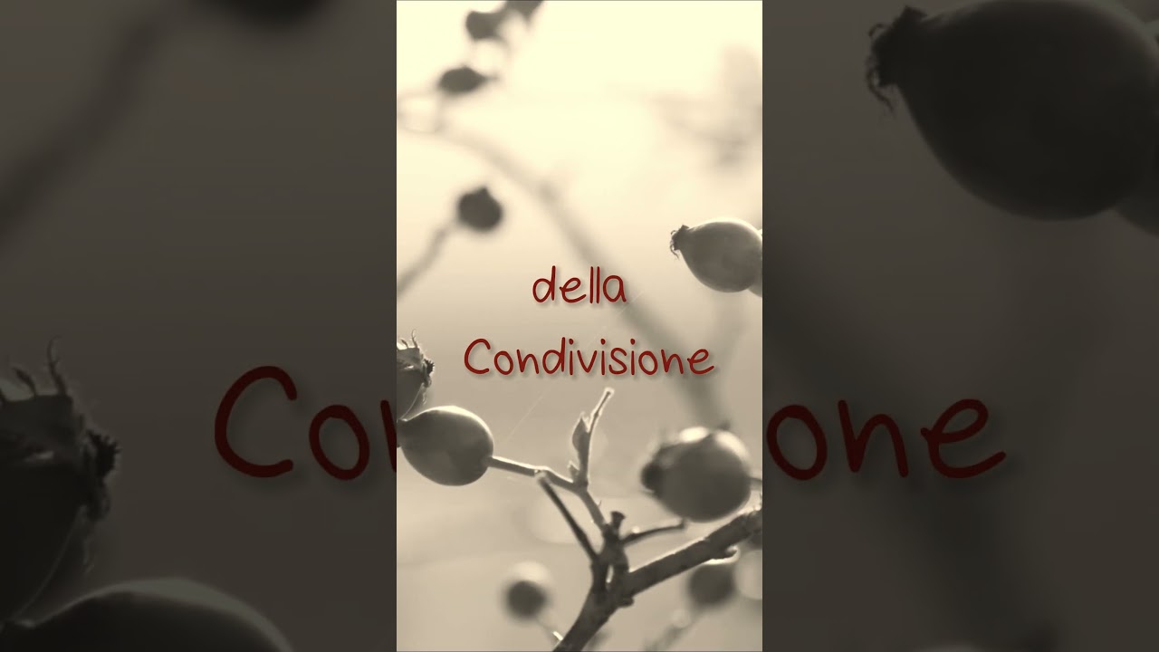 L'Unico in gara #nuovosingolo #musicaitaliana# #cantautore #artista #instagood #instamusic #indie