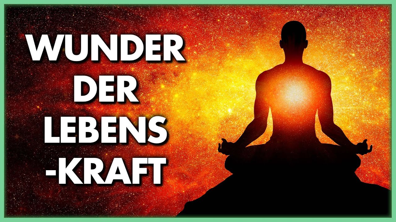 Wunder der Lebenskraft: Eine Erlebnisreise zur Kraft, die in uns wirkt - der Film