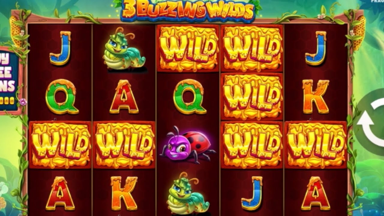 $100,000 VS 3 BUZZING WILDS BY PRAGMATIC PLAY