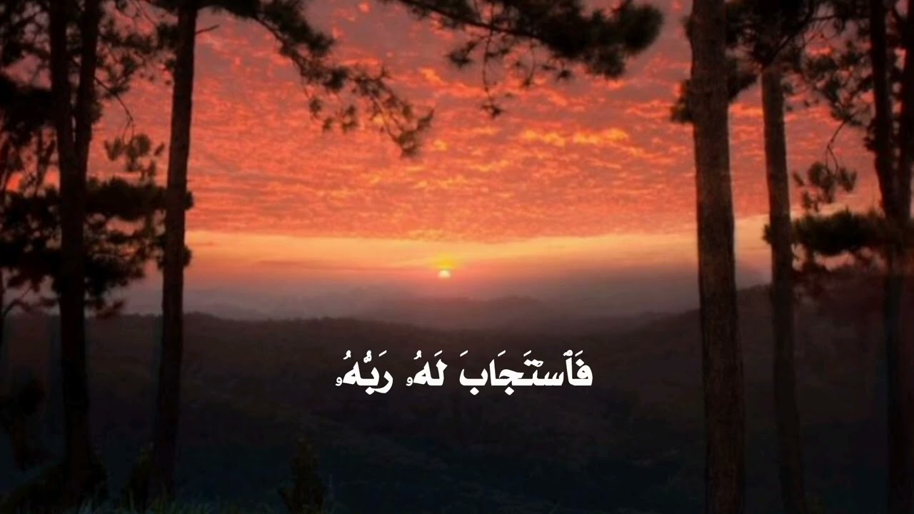 قَالَ رَبِّ ٱلسِّجۡنُ أَحَبُّ إِلَیَّ مِمَّا یَدۡعُونَنِیۤ إِلَیۡهِۖ 🌷 #مشاري_العفاسي