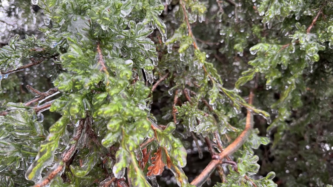 Ice Storm 2026
