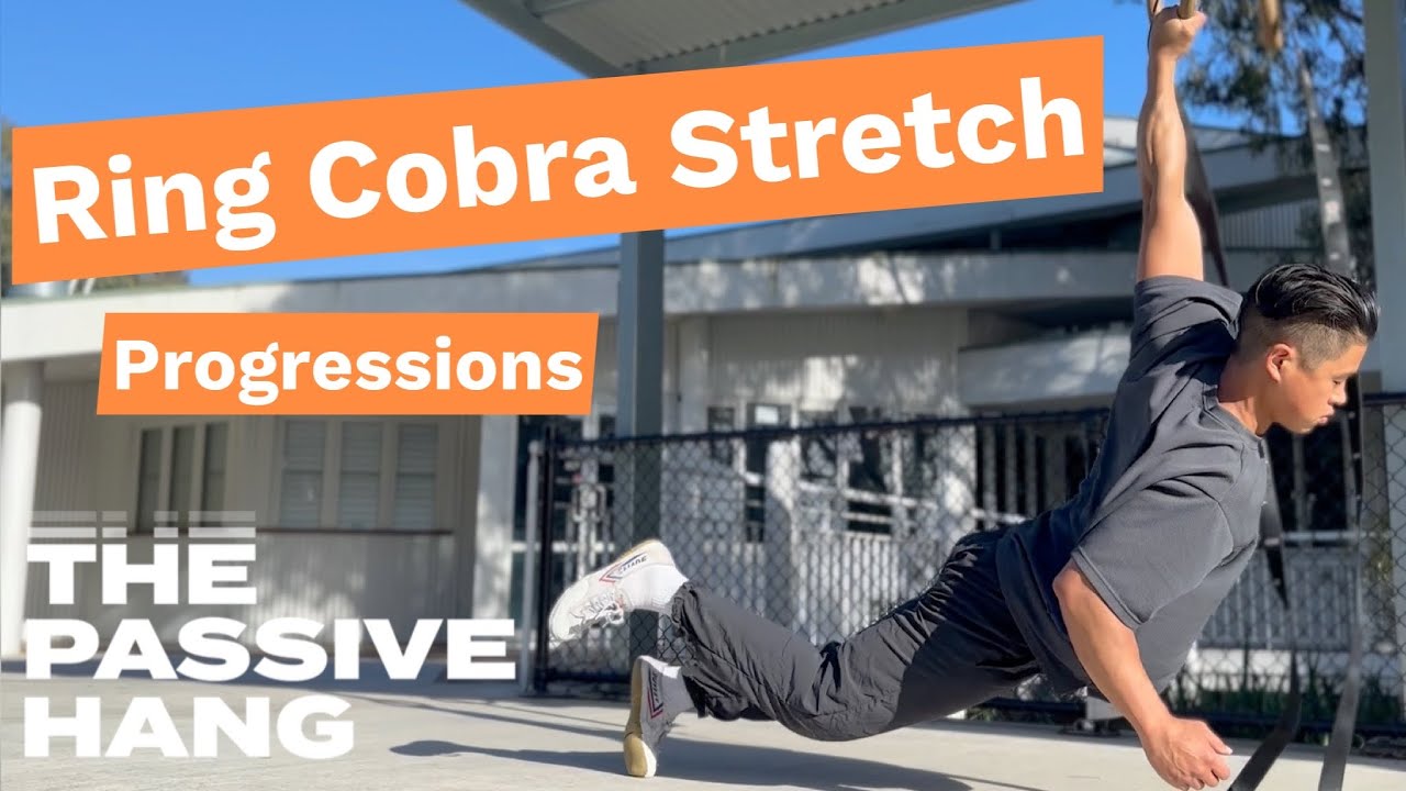 Cobra Stretch on Rings - Progressions and Technical Setup