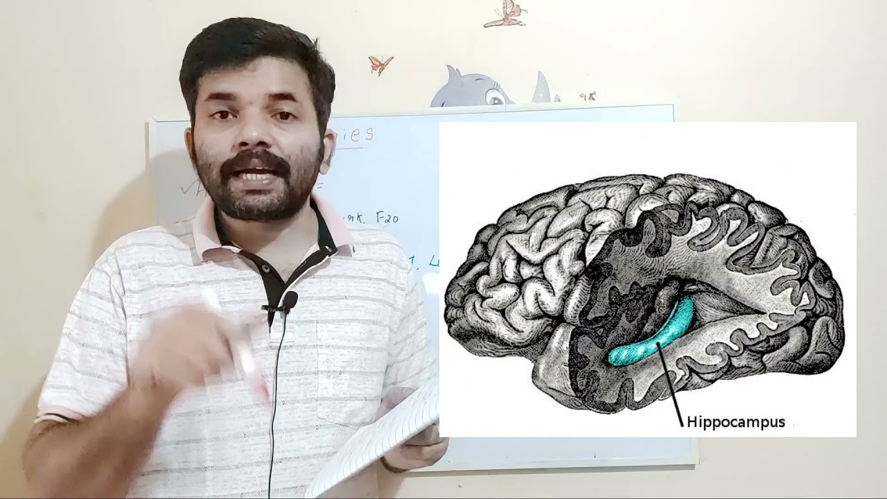 Psychiatric Terminologies Part-2/Mental Health Important Topics For Nursing Officer/Nurse Queen