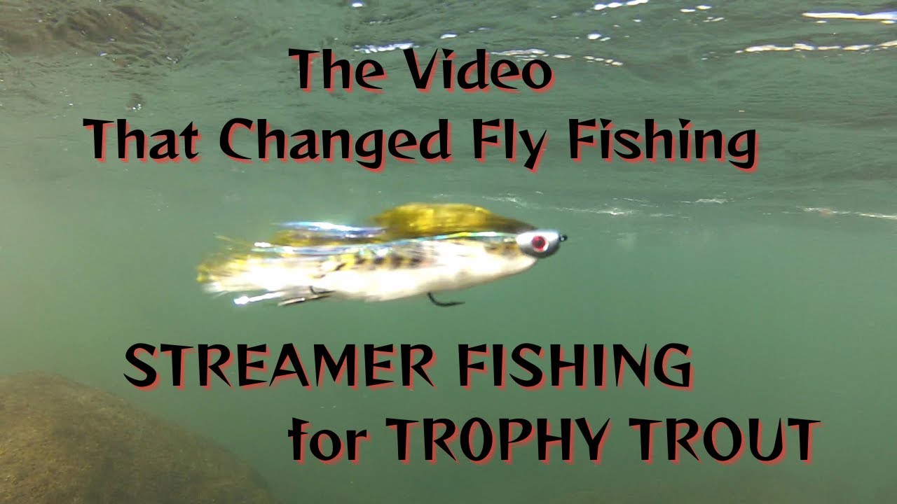 STREAMER FISH FOR TROPHY TROUT