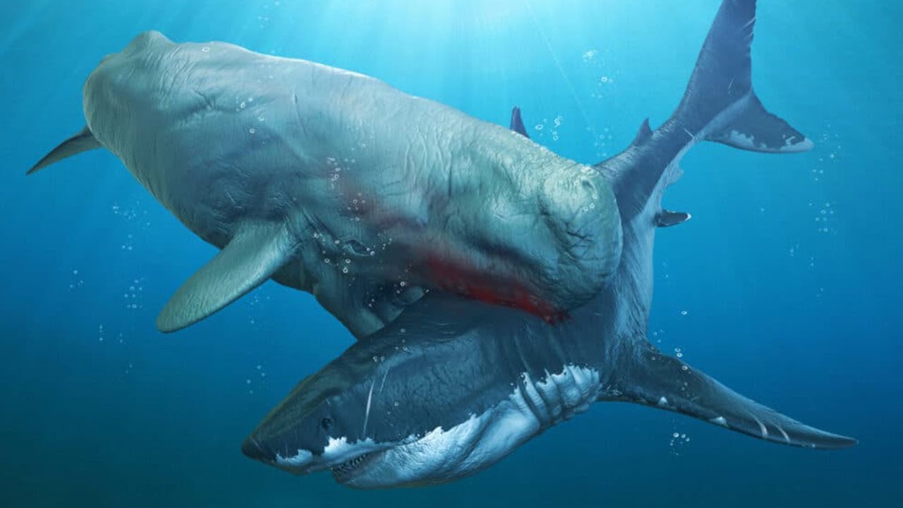 Real Ocean Monsters That Can Destroy The Megalodon - Part 2