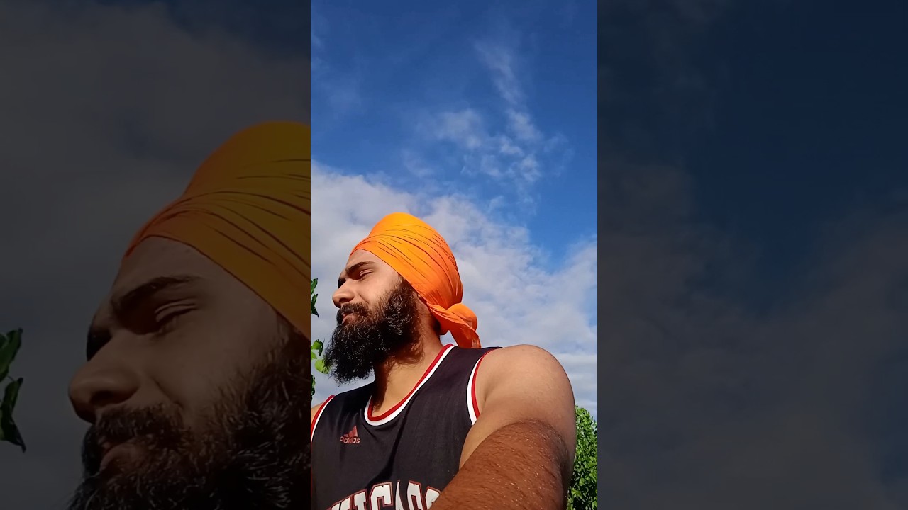 kheta de hall 😭 #viral #punjabi #desi#khet#farming #vlog#vlooger#trending #dailyvlog#pendu#minivlog