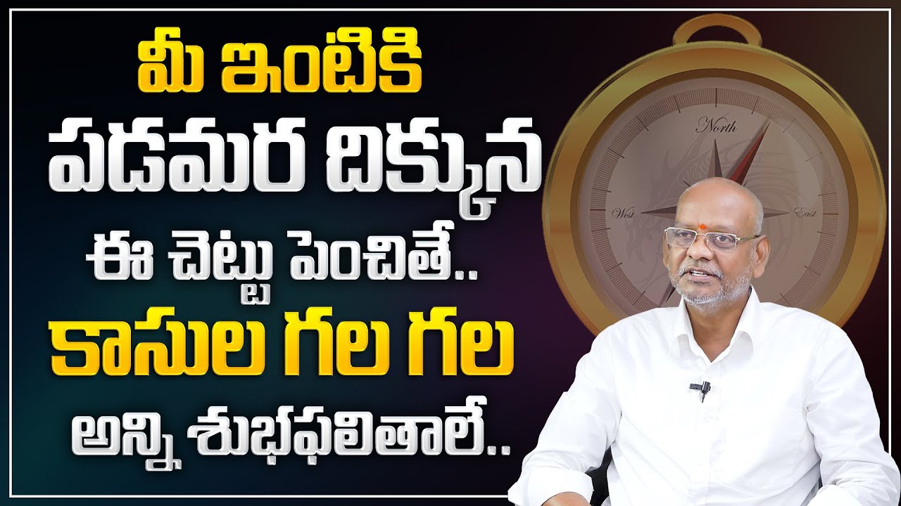 Satyanarayana : Vastu for Trees in Home Telugu | Best Home Vastu Tips | Trees Vastu | M QUBE