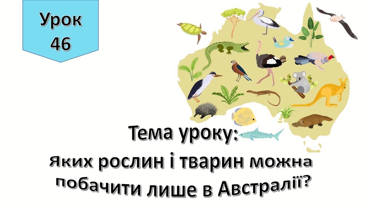 Урок 46.  Яких рослин і тварин можна побачити лише в Австралії? Я досліджую світ 4 клас.