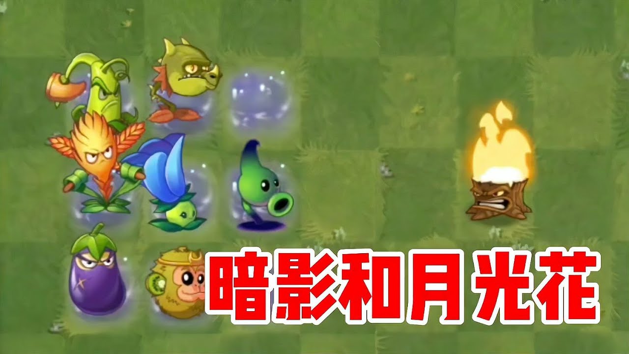 植物大戰僵尸：什么情況？暗影豌豆和月光花需要單打獨斗！ #植物大战僵尸 #PVZ #杂交版 #PVZ杂交版 #游戏解说