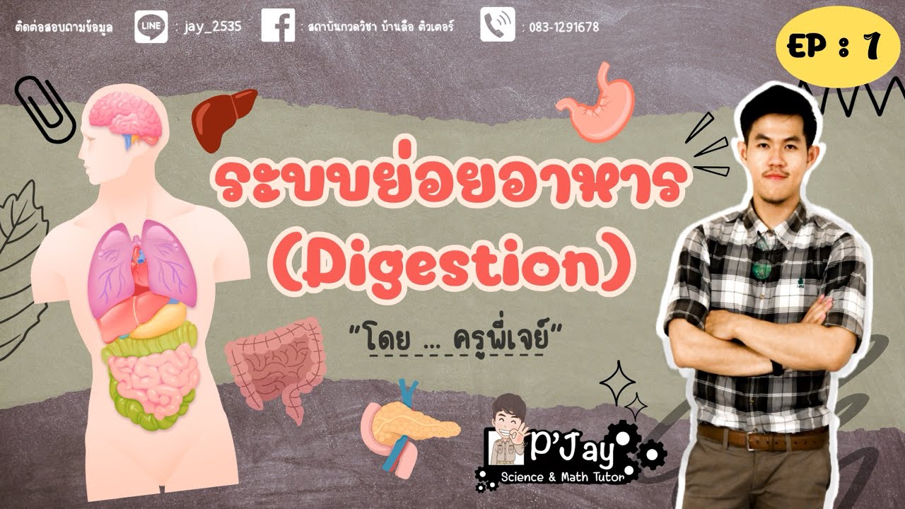 ระบบย่อยอาหารของสัตว์และมนุษย์ ~  ชีวะ ม.5 EP : 1 | Kru P'Jay