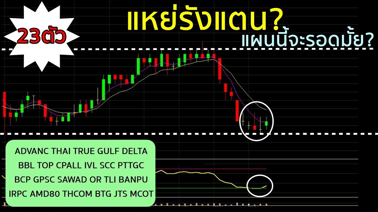 EP.1315 "แหย่รังแตน? "  การบ้านหุ้น23ตัว  (วันที่4/2/69)