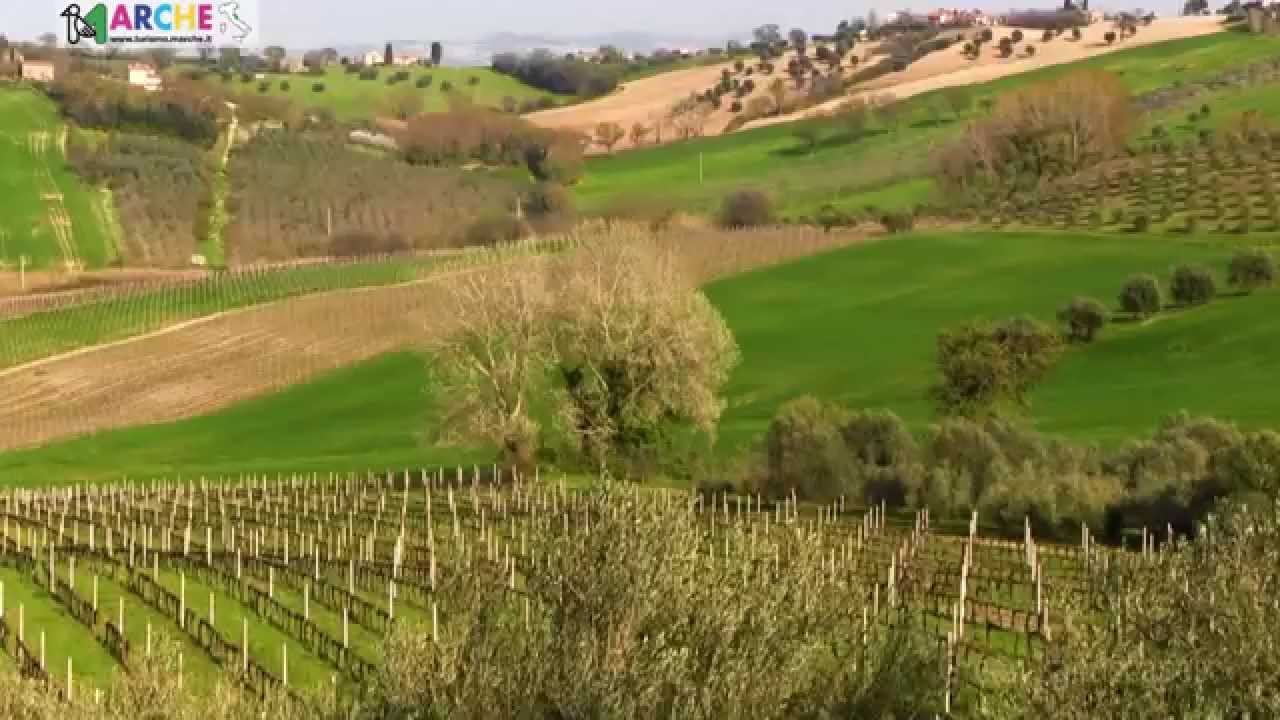 Le Marche in pillole: Green Landscapes
