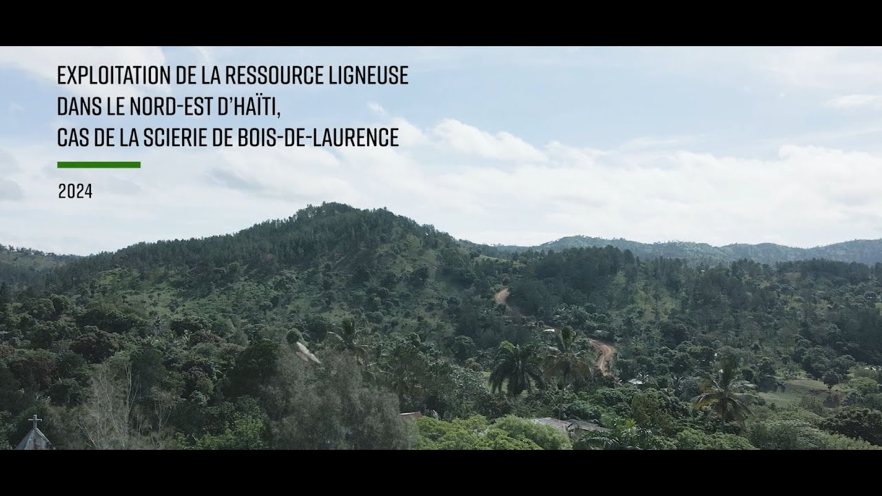 Exploitation de la ressource ligneuse en Haïti. Cas de la scierie de Bois-de-Laurence, Nord-Est.