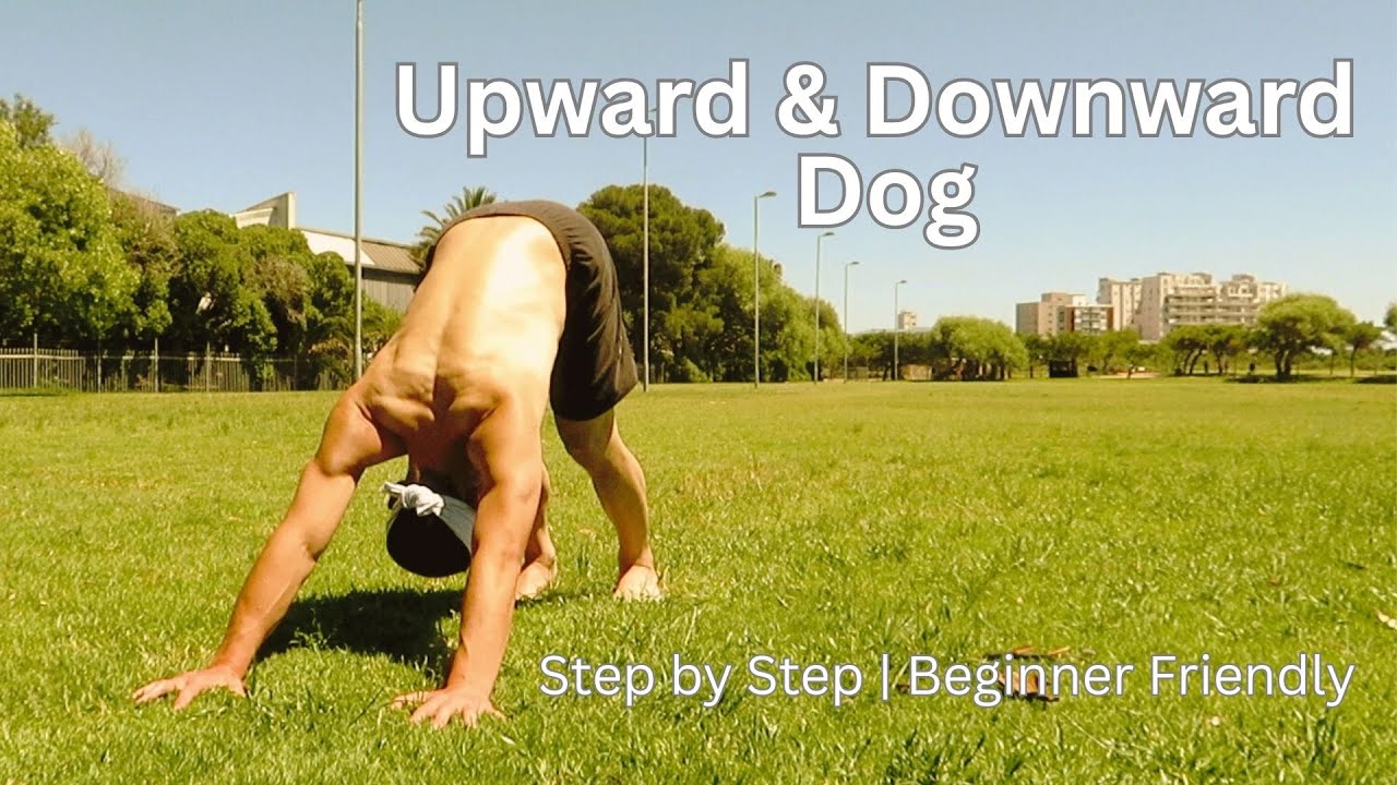 Upward Dog & Downward Dog for Beginners | Step-by-Step Yoga Tutorial
