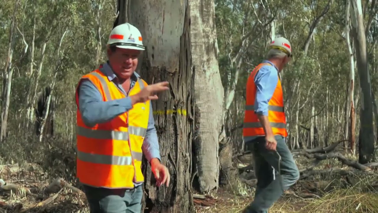 Going Bush - VicForests Community Forestry Operations in Western Victoria. ca 2017