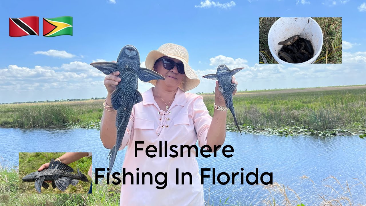 Palm Bay Fishing In Florida! ( we caught hassa and tilapia )