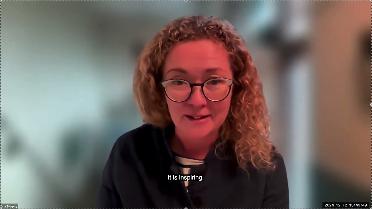 DigiNEB final event: Orla Murphy contribution