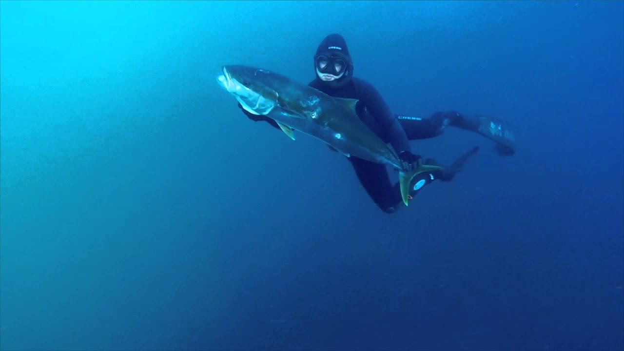 Spearfishing Australia - Best Shots