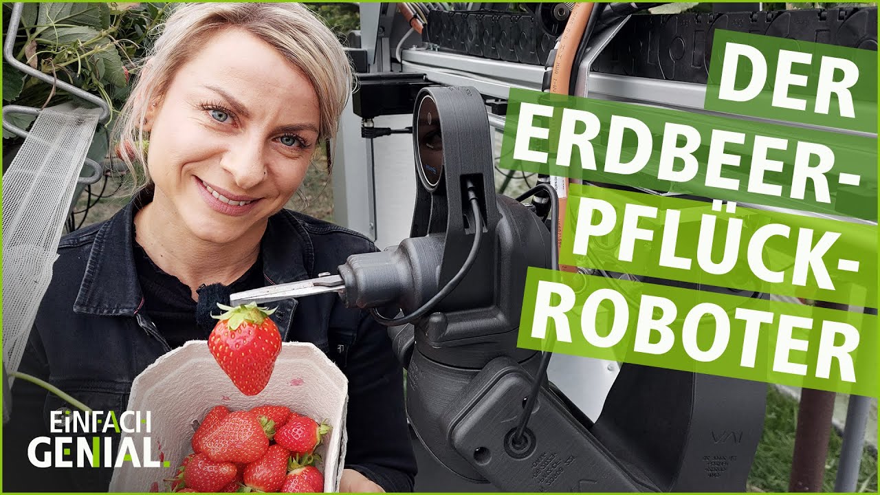 Ein Roboter als Erntehelfer | Einfach genial | MDR