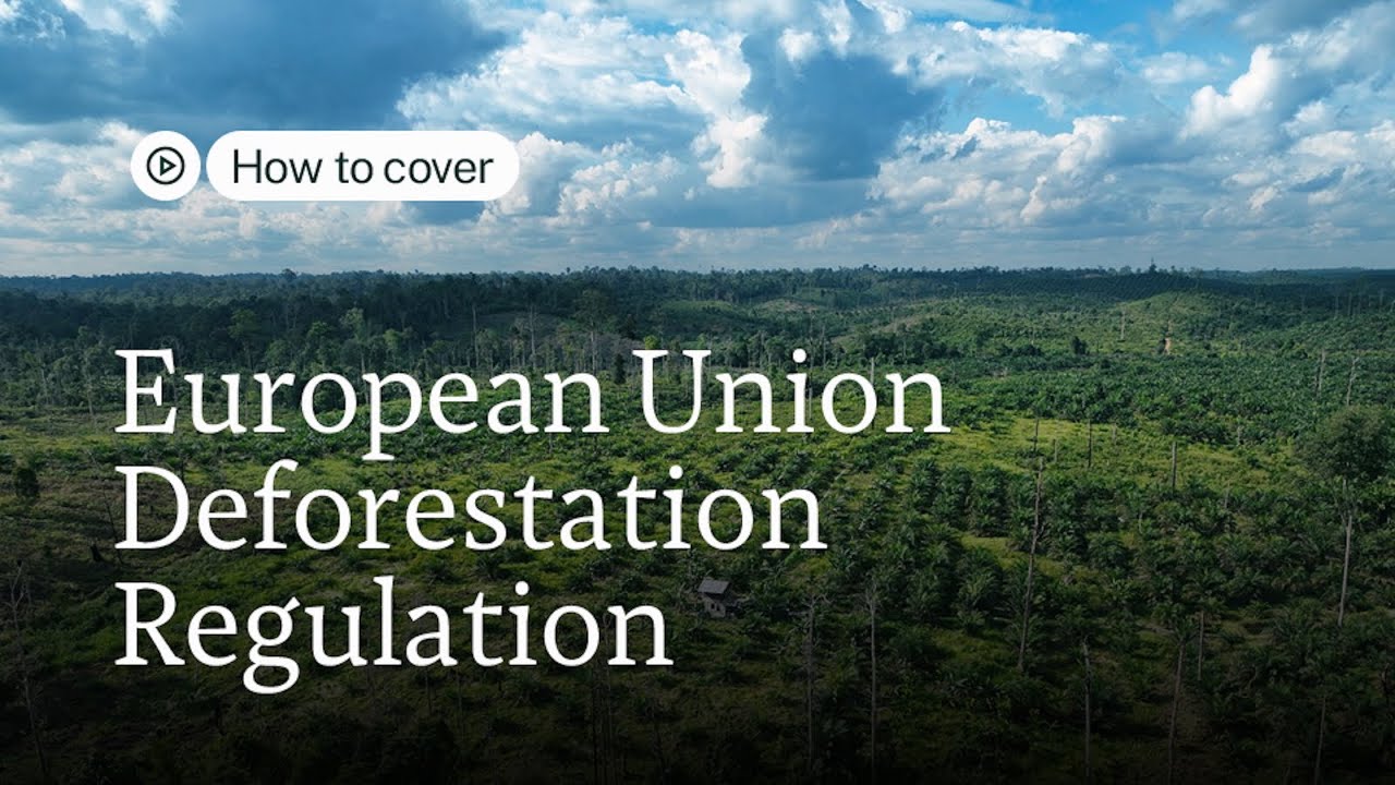 How to Cover the European Union Deforestation Regulation (EUDR) | Mongabay Webinars