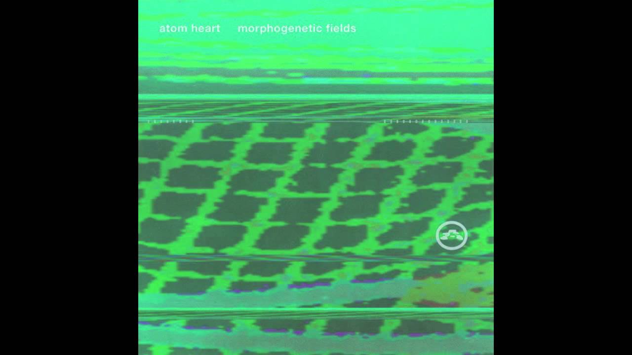 Atom Heart - DMT Reality (Morphogenetic Fields)