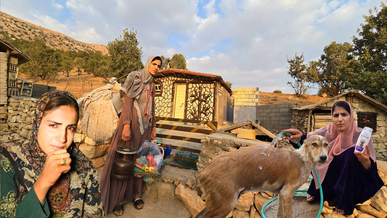 She Left the Village to Return to Her Mountain Shelter | Nomadic Mother Story