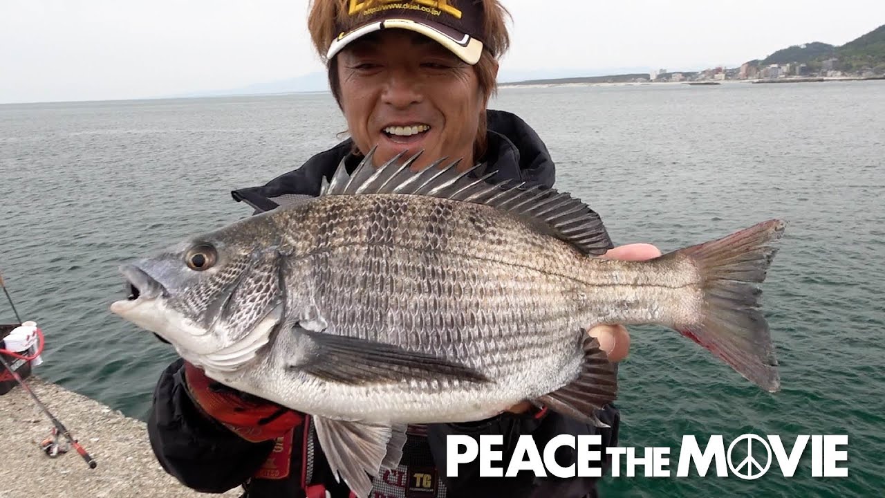 PEACE THE MOVIE #93「鳥海山を見ながらチヌ狙い！」東北地方・山形県鶴岡の旅(後編)平和卓也(1102)